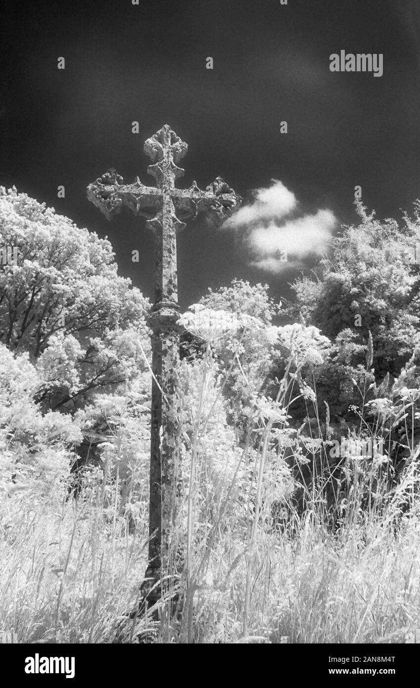 Stone cross marking a grave in the churchyard of Holy Trinity church, Merepond Lane, Privett, Alton, Hampshire, England, UK.  Black and white infra-red filmstock, with its characteristic prominent grain structure, high-contrast and glowing bright foliage: spooky, gothic atmosphere Stock Photo