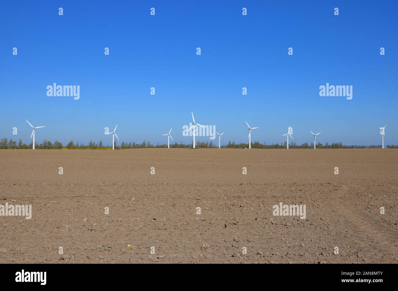 A wind park on island Ruegen in Mecklenburg West Pomerania, Germany, field in front, trees on horizon,blue sky background,concept for renewable energy Stock Photo