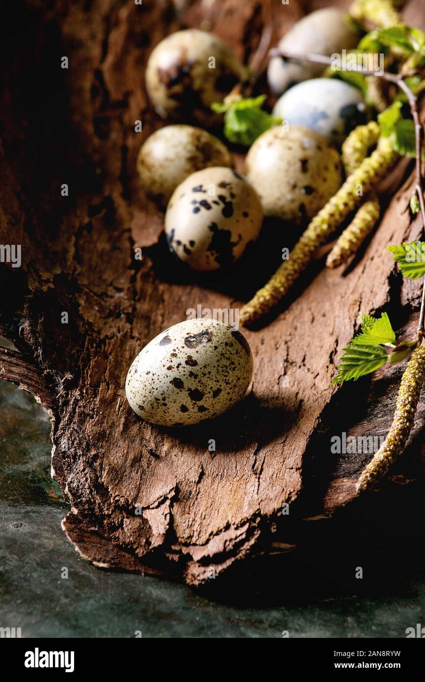 Quail Easter eggs in nest Stock Photo Alamy