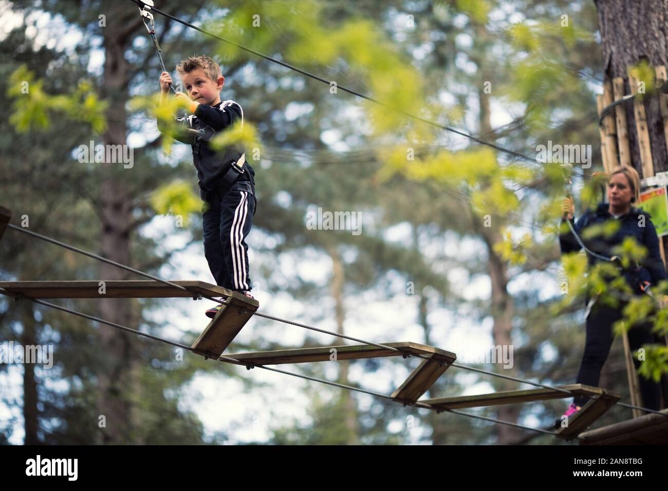 Young boy on high ropes Stock Photo