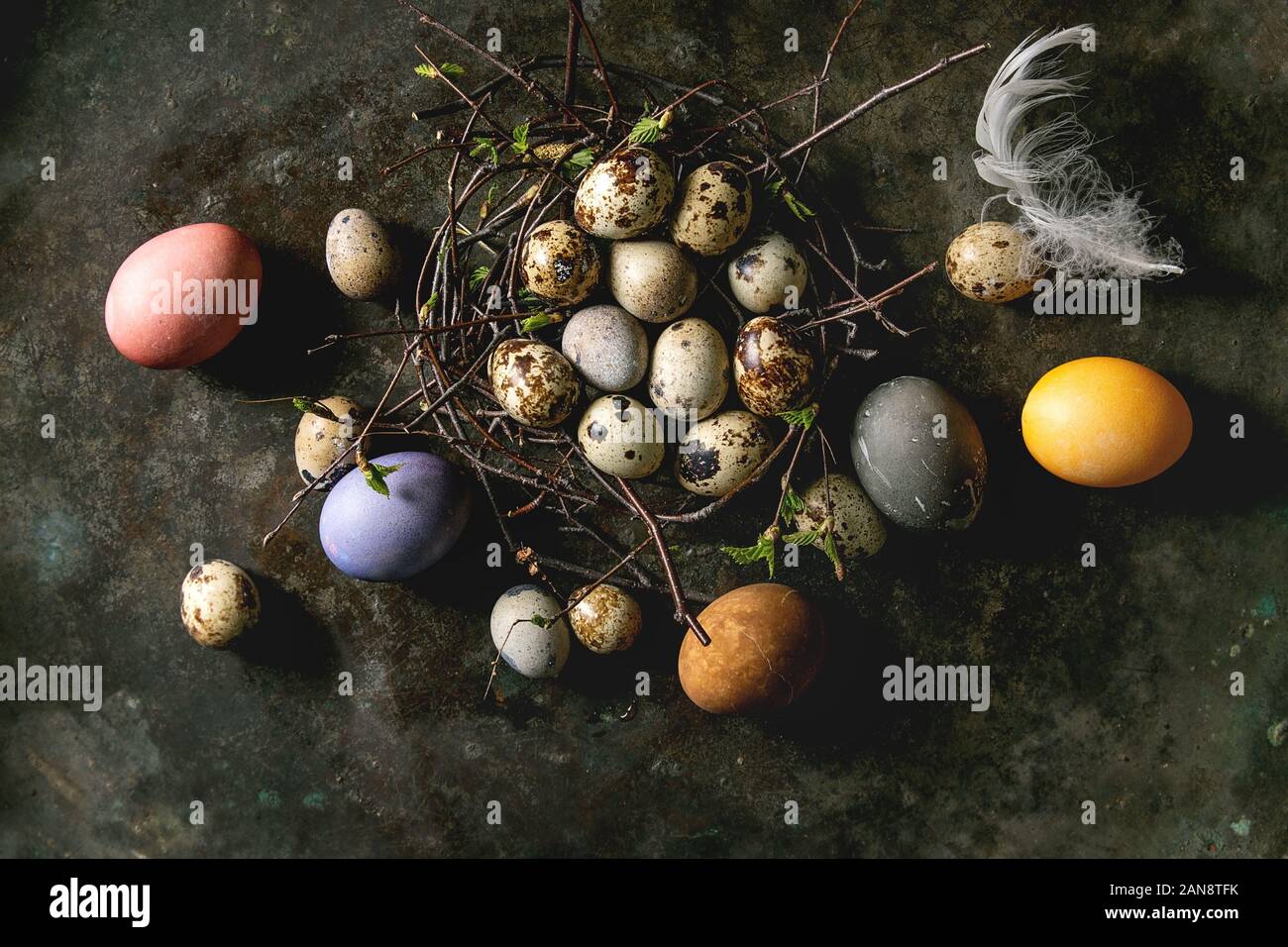 Quail Easter eggs in nest Stock Photo Alamy