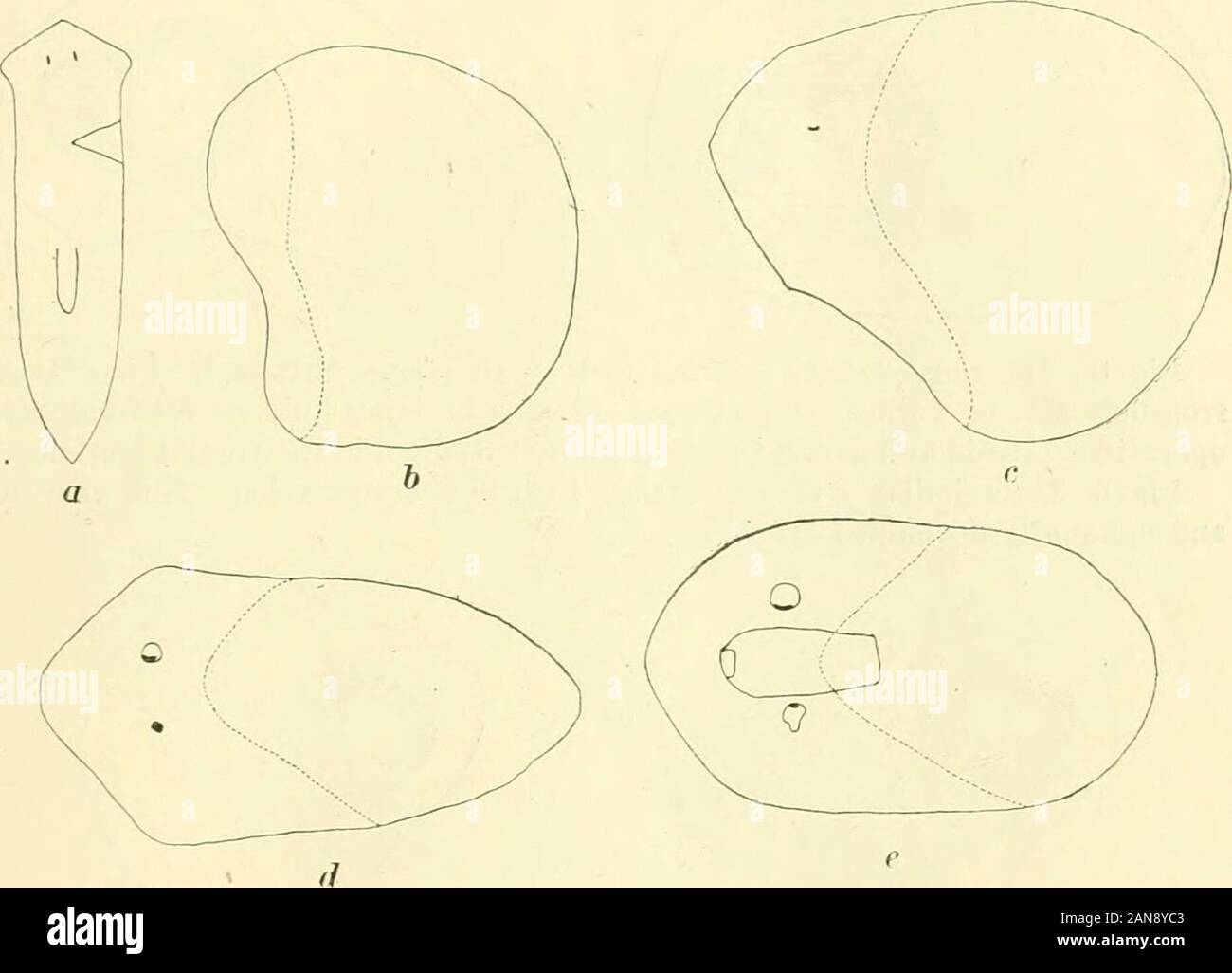 Triangular Pieces Stock Photos Triangular Pieces Stock Images