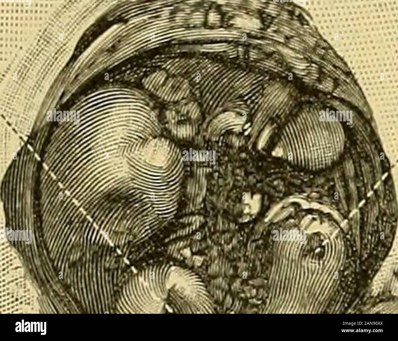 P xxiv hi-res stock photography and images - Page 6 - Alamy