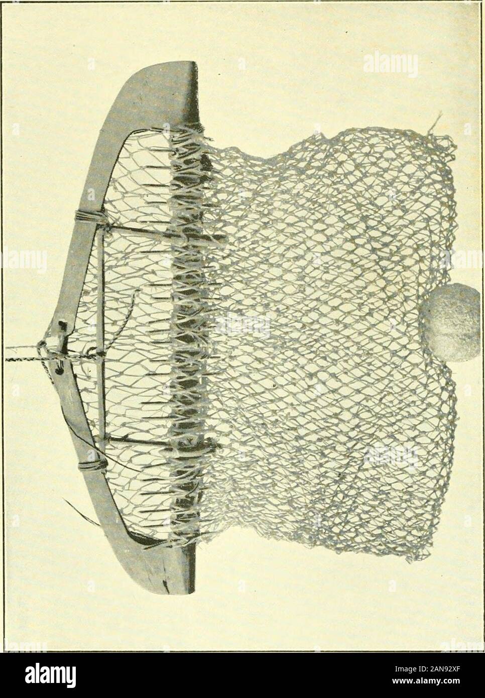 5 B C High Resolution Stock Photography And Images Alamy