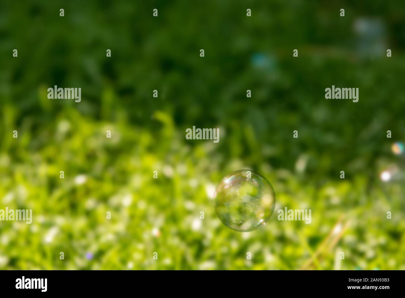 Soap bubble flies over a meadow Stock Photo - Alamy