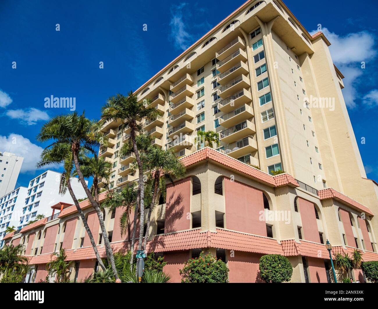 Looking up at tall buildings in tropical downtown Sarasota Florida ...