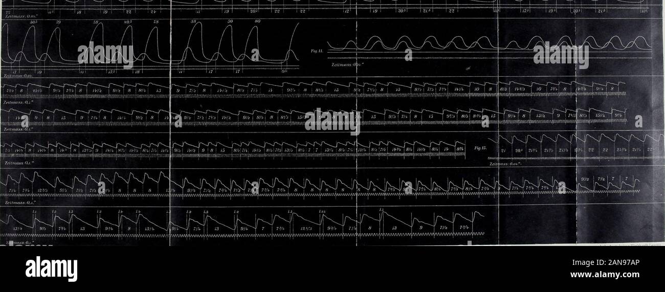 Page 10 T8 High Resolution Stock Photography And Images Alamy
