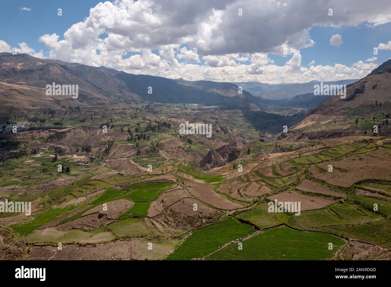 Colca canyon agriculture terraces hi-res stock photography and images ...