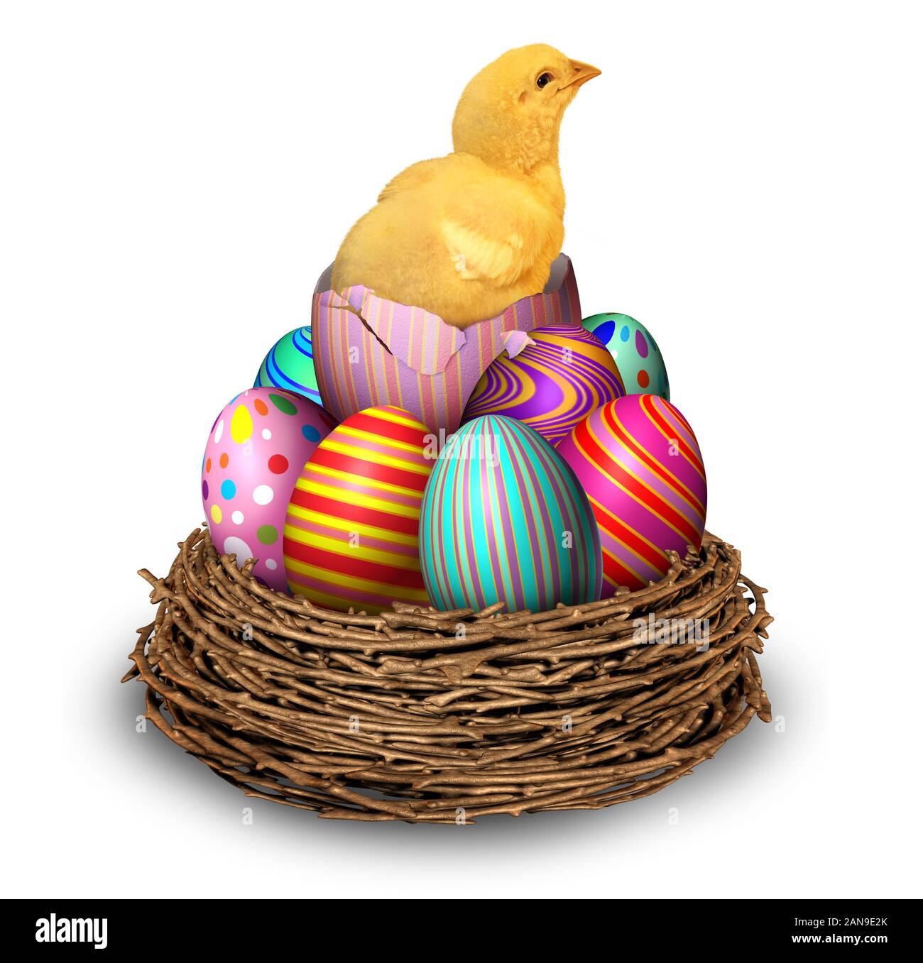 Easter eggs hatchling chick in a nest as a spring holiday symbol for celebration of a religious and traditional cultural event and a decorated egg. Stock Photo