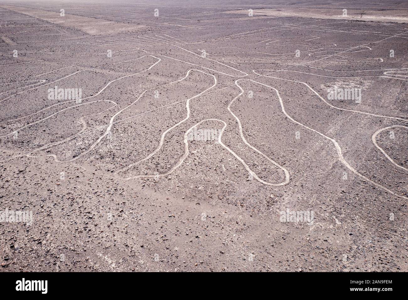 Pre-Columbian Nazca Lines geoglyphs in the Nazca Desert, Southern Peru Stock Photo
