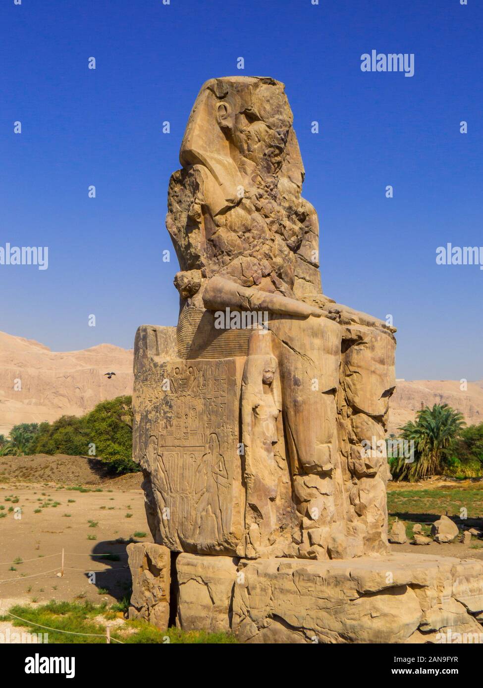 View of the gigantic Colossi of Memnon (left statue) in the Mortuary Temple of Amenhotep III in Luxor, Egypt Stock Photo