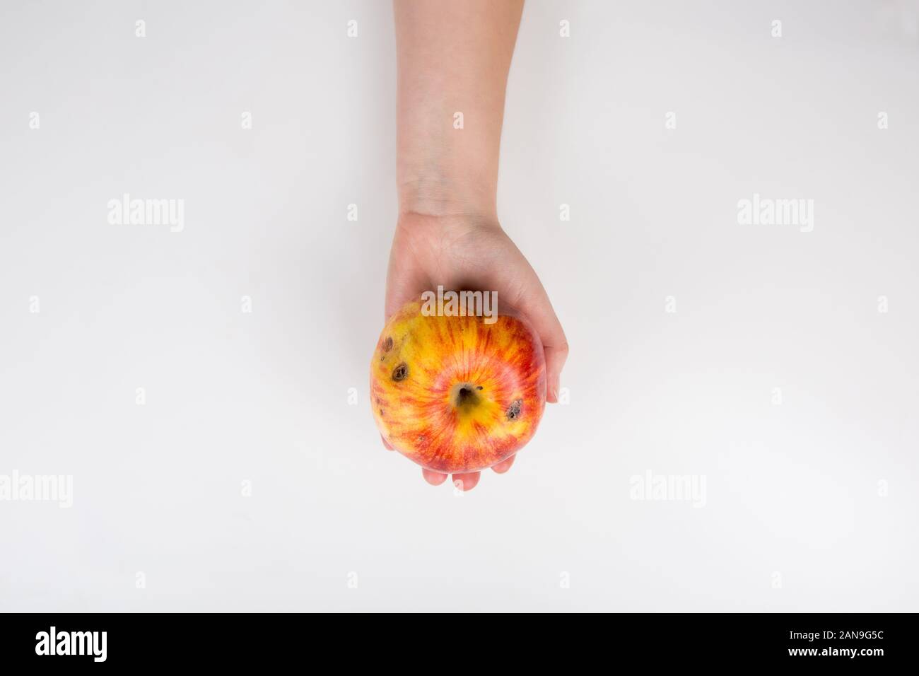 Close up of a human hand holding a slightly degraded apple isolated on white background with copy space. Bio fruits tend to rotten faster than bio mod Stock Photo
