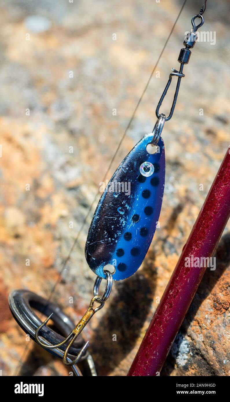 https://c8.alamy.com/comp/2AN9HGD/metallic-blue-fishing-lure-spoon-with-triplet-hook-attached-to-eye-of-red-fishing-rod-road-is-leaning-against-brown-rock-2AN9HGD.jpg