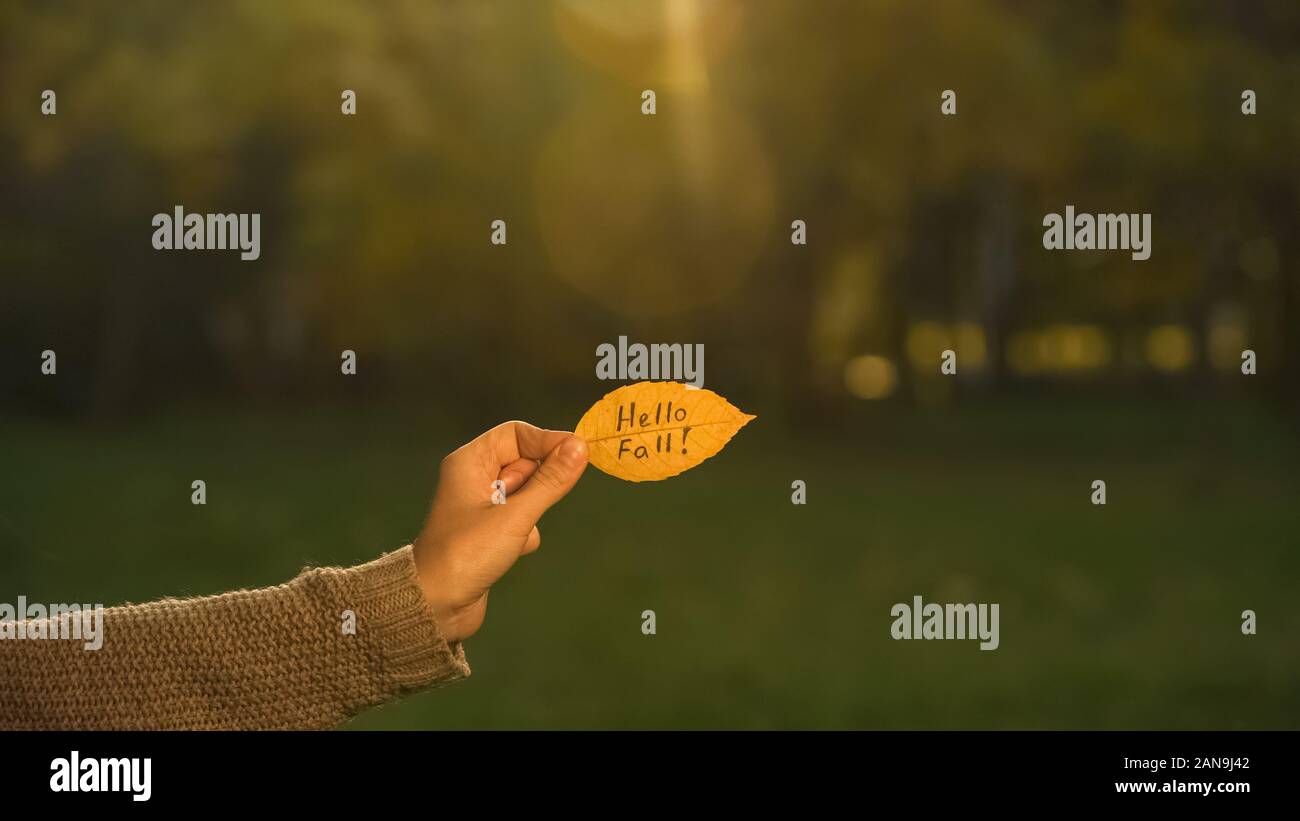 Hello fall written on yellow leaf, hand holding writings, golden autumn ...