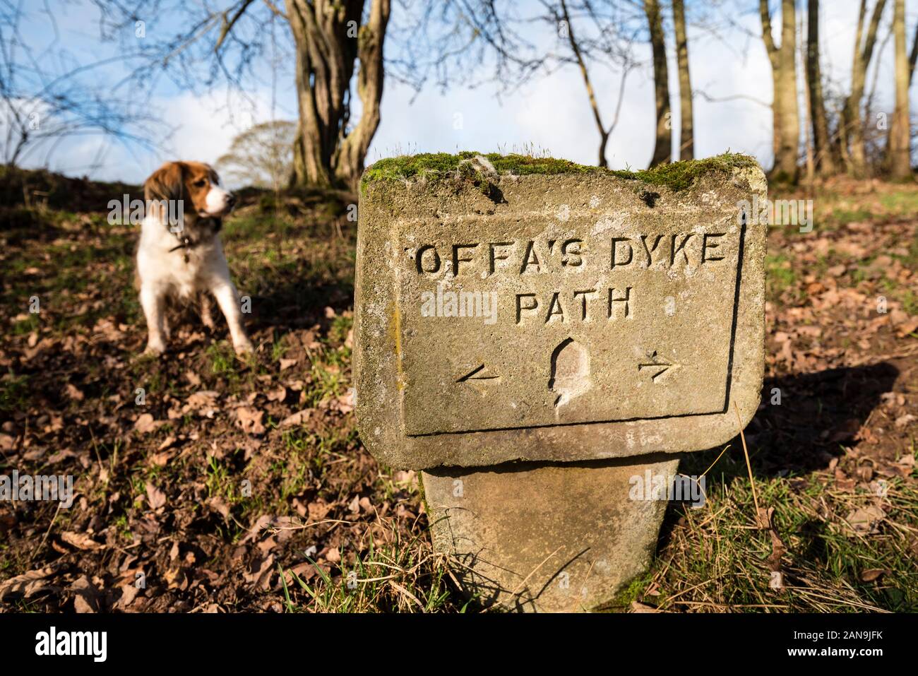 A signpost on the Offa's Dyke Path near Hay-on-Wye, Wales, UK Stock Photo