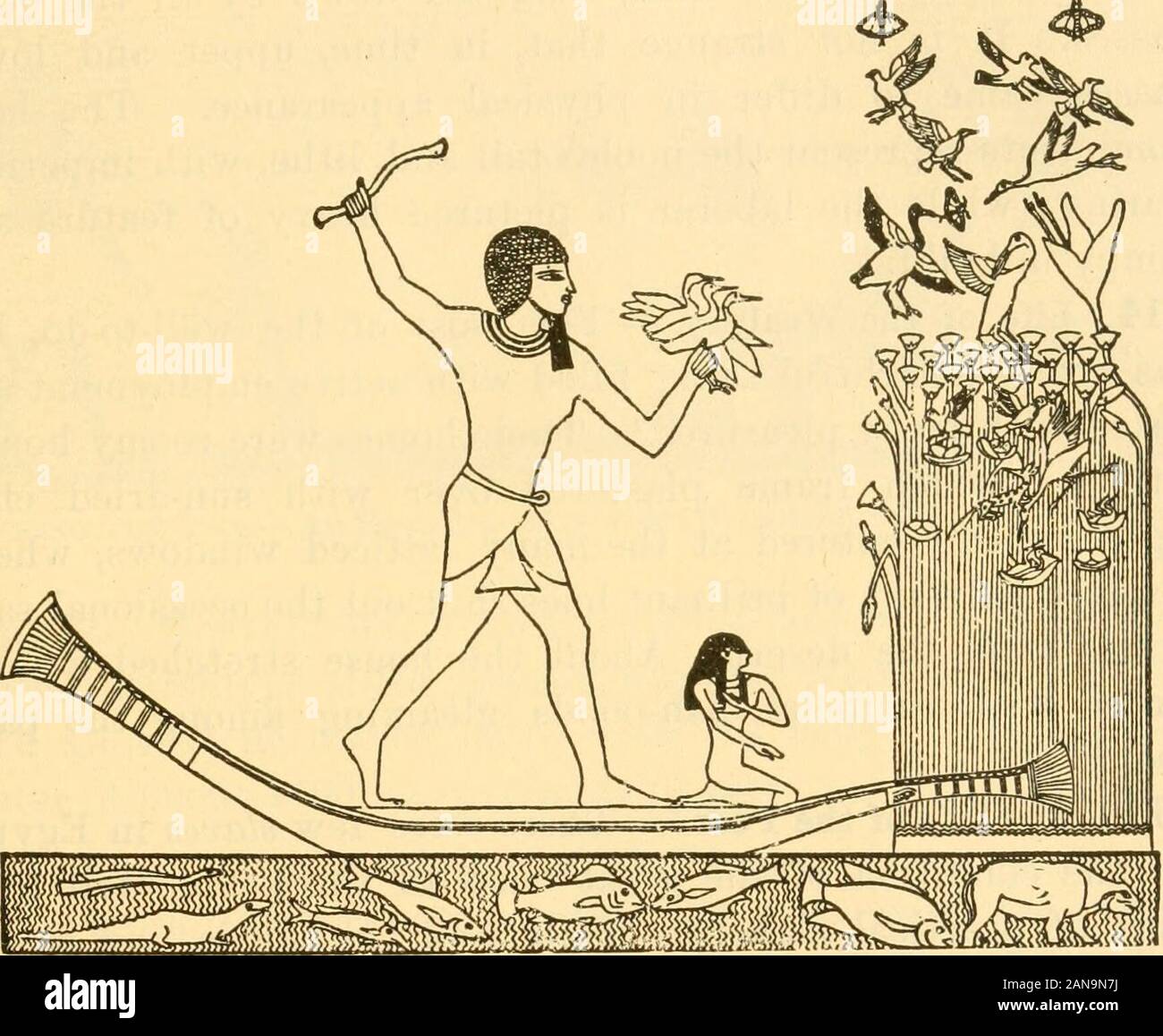 Вельможа отрывок. Гигиена в древнем Египте. Цирк в древности. Цирк в древнем Египте. Акробатика в древней Греции.