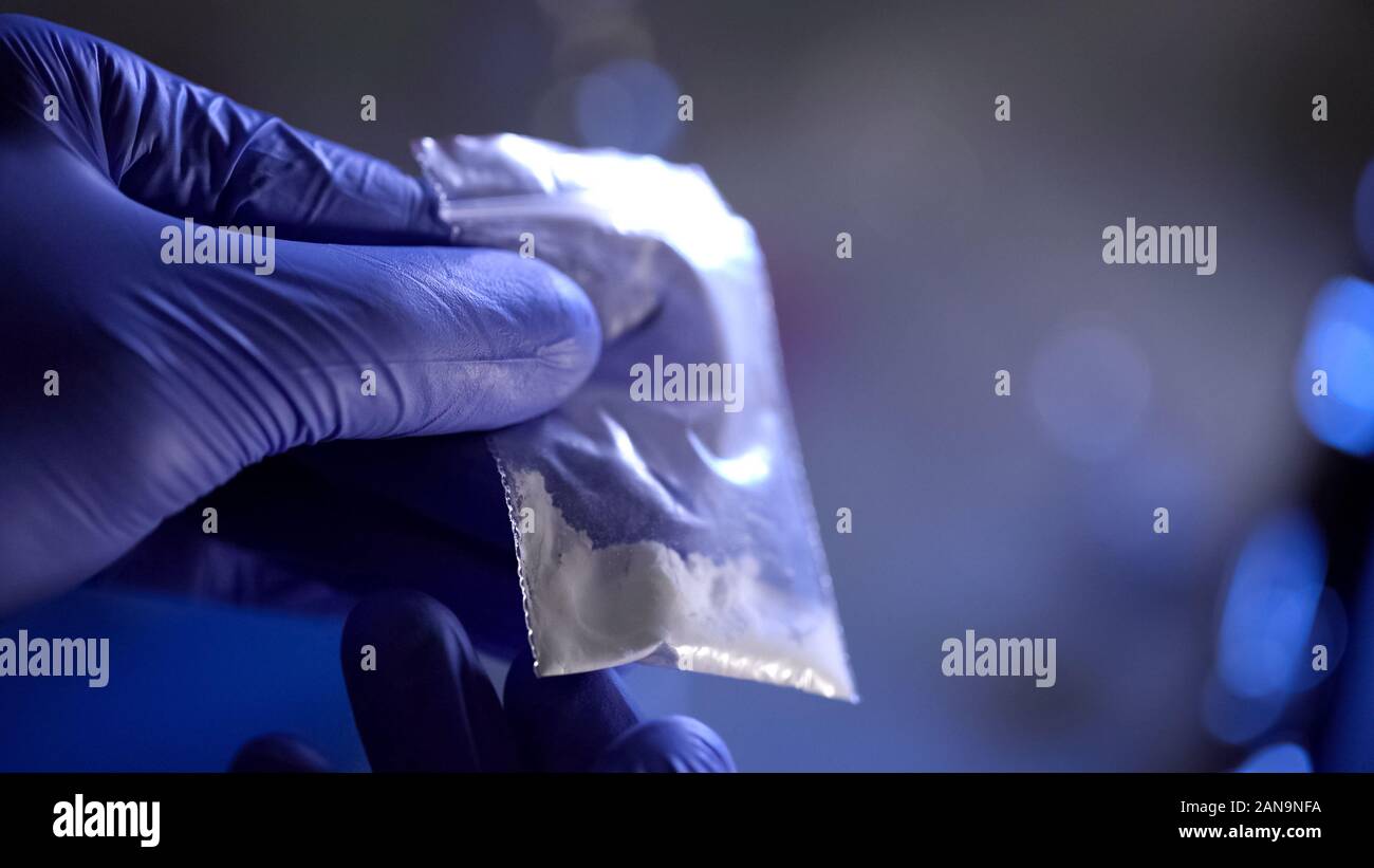 Police conducting forensic analysis of heroin, fight against drug trafficking Stock Photo