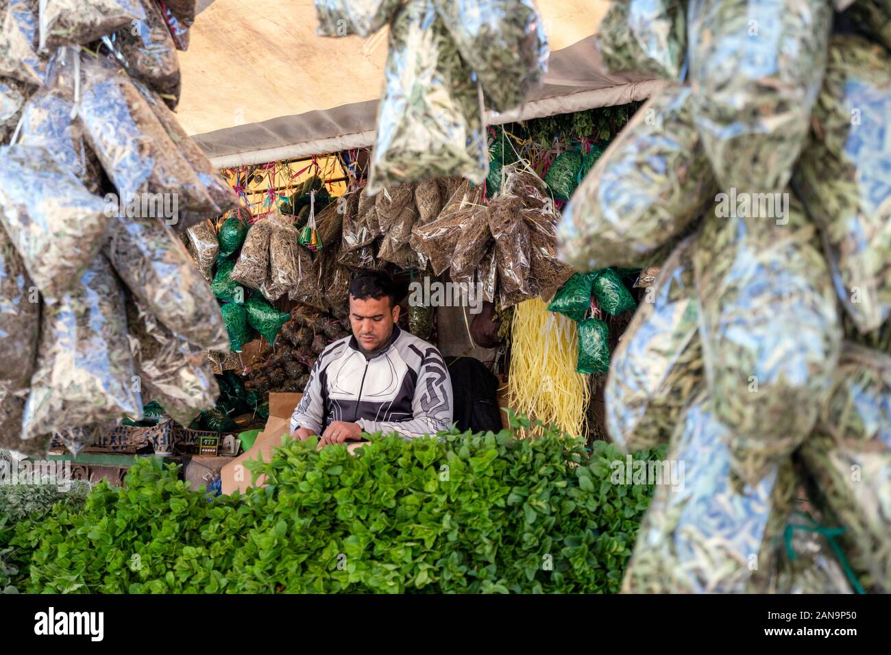 Marrakech, Morocco - January 7, 2020: Vendor on open air market selling fresh mint as well as dry herbs to prepare moroccan tea Stock Photo