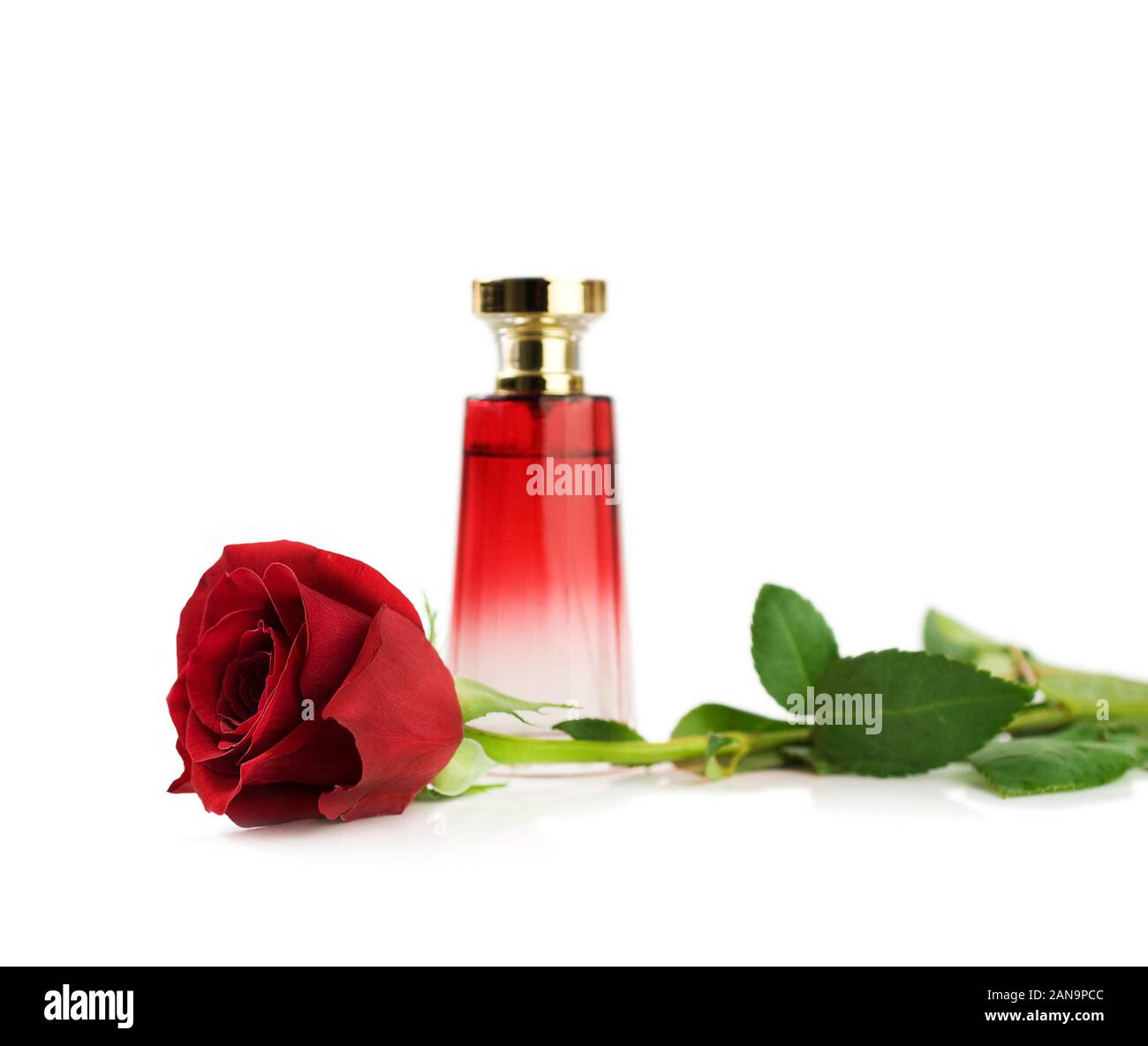 perfume and rose Stock Photo
