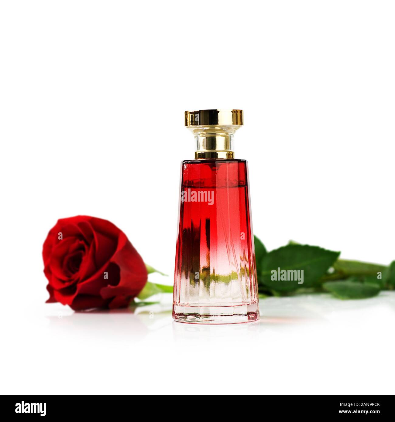 Red rose perfume bottle Stock Photo