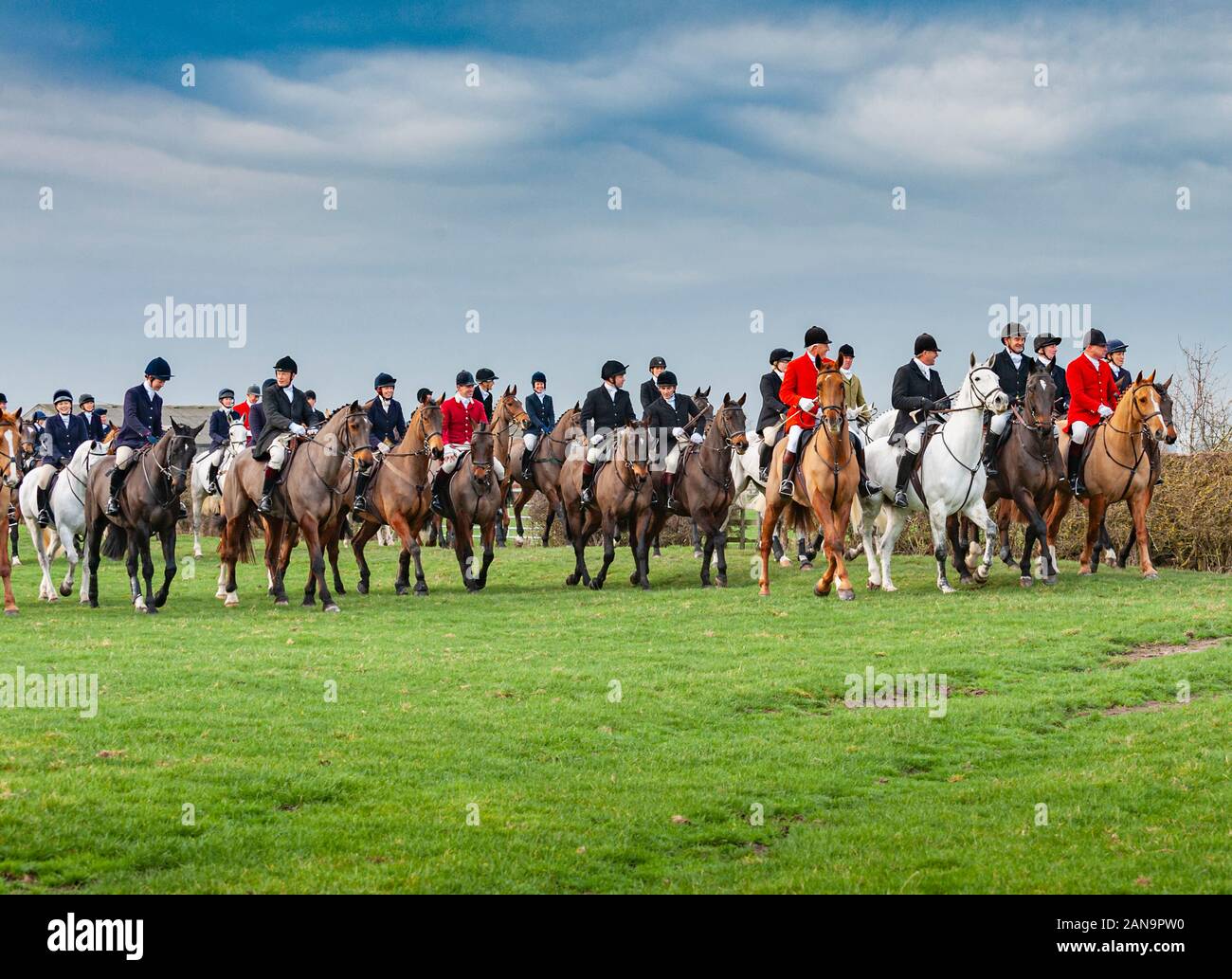 The Belvoir Hunt meeting in the Vale of Belvoir at Long Clawson, Leicestershire, England UK - The field following the hounds Stock Photo