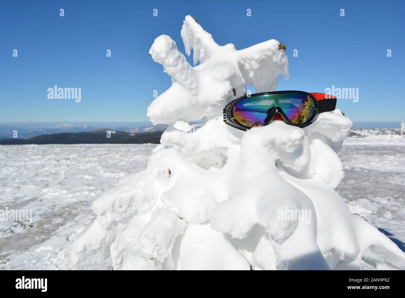 Goggles forgotten on fir covered by snow, close up view, Mt. Kopaonik, Serbia Stock Photo