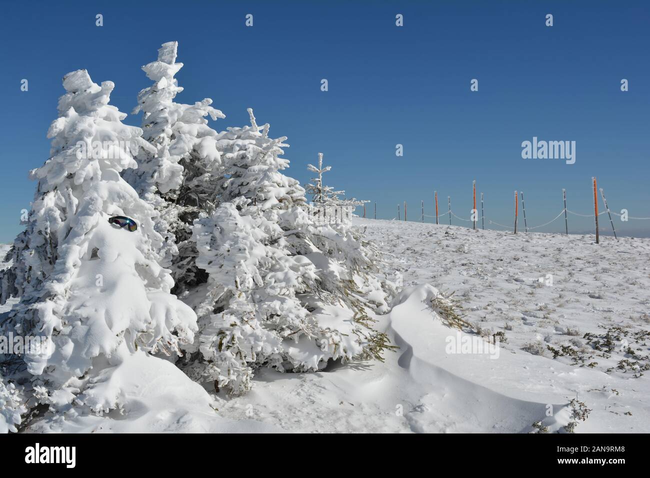 Group of small fir trees covered by snow, forgotten goggles,  snow drifts in foreground and row of pillars with safety rope in background on the top o Stock Photo