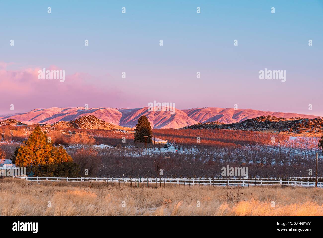 Colorful sunrise over a snow covered orchard in eastern washington with grasses in the foreground and mountains in the distance Stock Photo