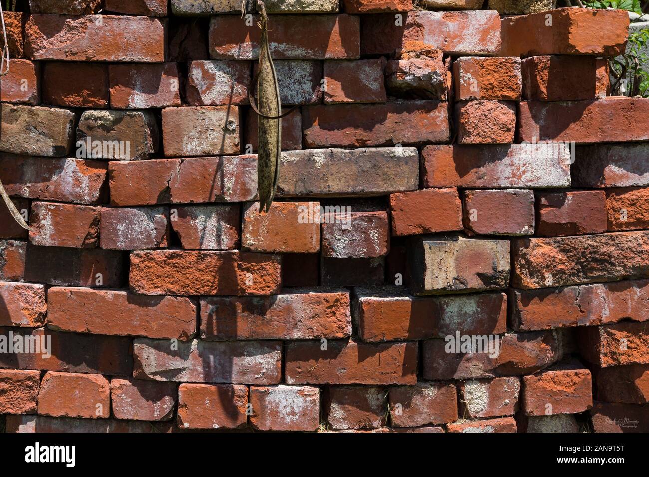A capture of some old bricks stacked by my Grandpas old Auto Maintenance Garage in Dunnegan