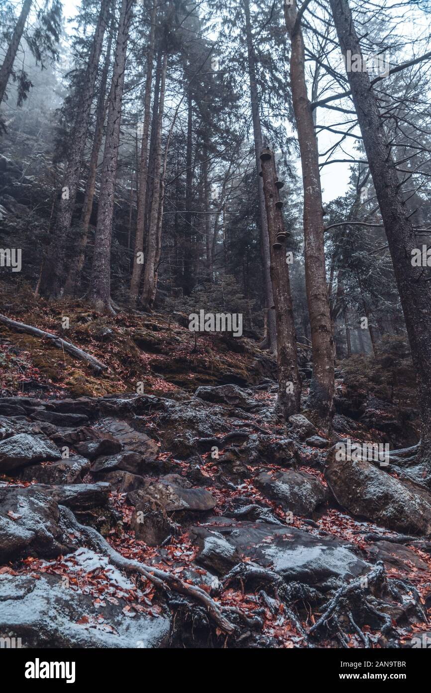 Outdoor cascade hi-res stock photography and images - Alamy