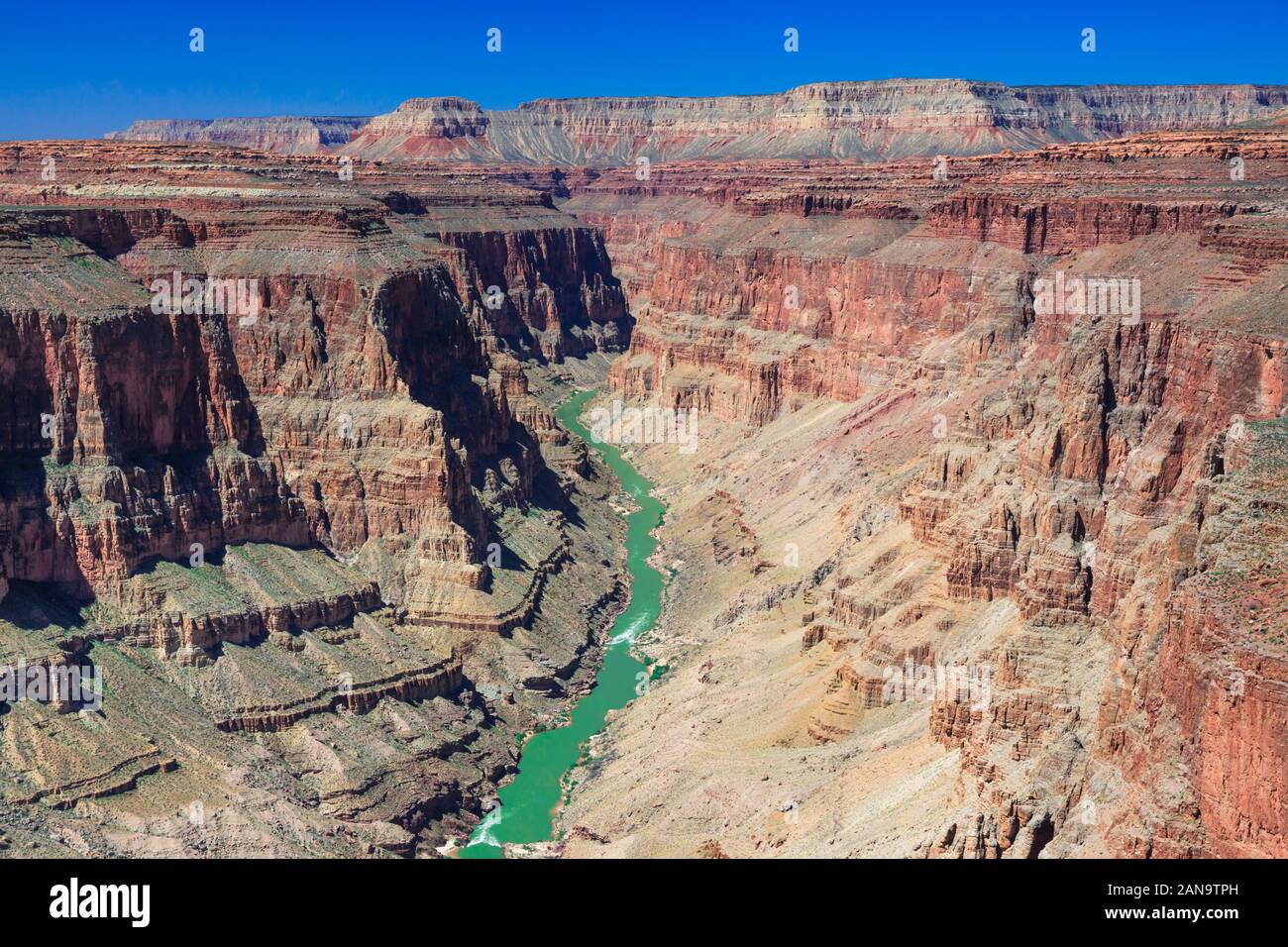 colorado river in the fishtail rapids area of grand canyon national park, arizona Stock Photo