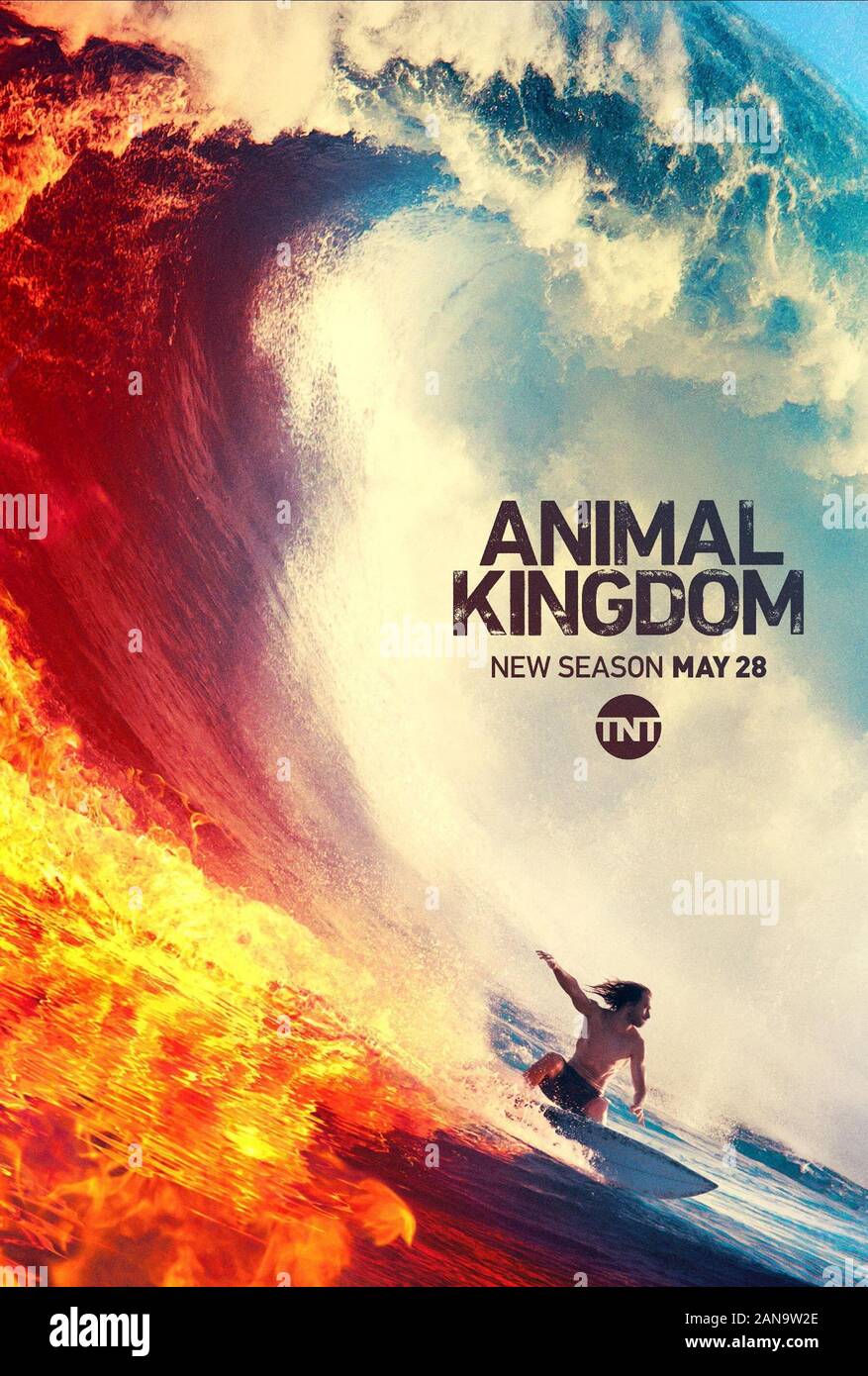 The Animal Kingdom High Resolution Stock Photography and Images - Alamy