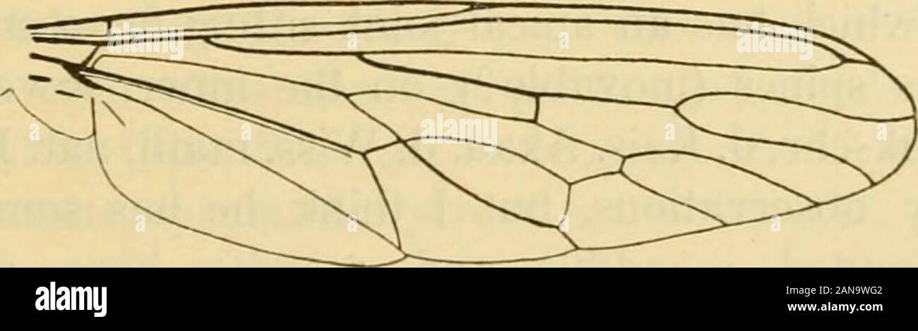 Diptera danica : genera and species of flies hitherto found in Denmark ...