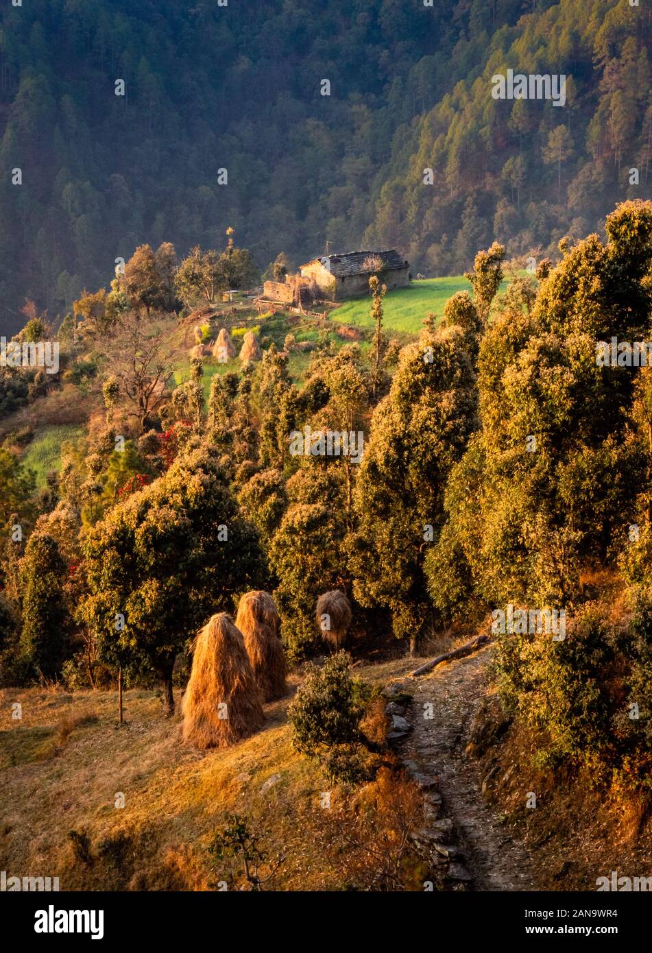 Idyllic rural scene with farmhouse haystacks and wooded mountain slopes in the Himalayan foothills at Gonap in Uttarakhand Binsar area Northern India Stock Photo