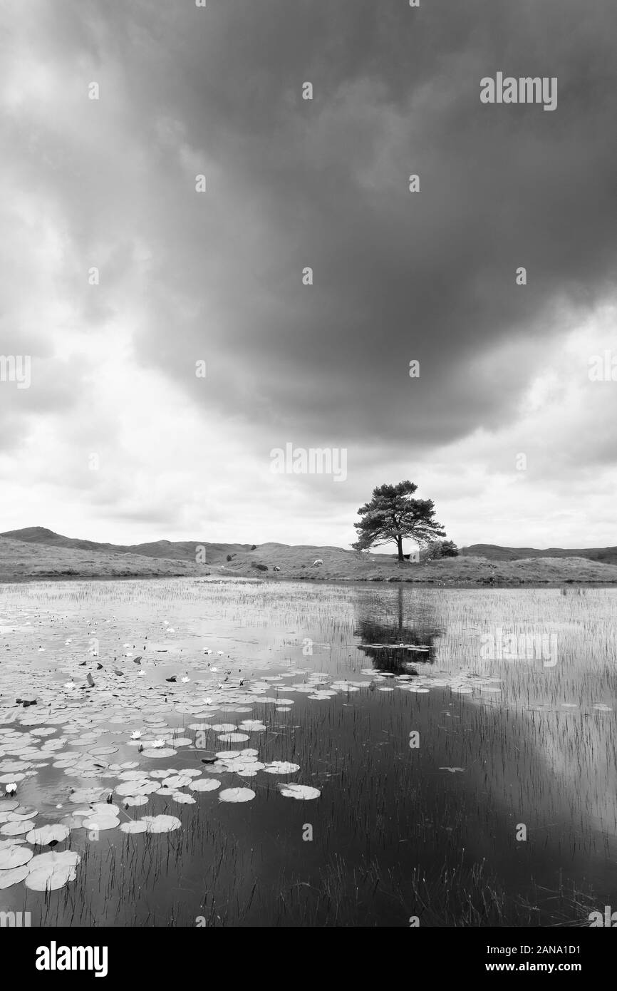 Lake District image Stock Photo - Alamy