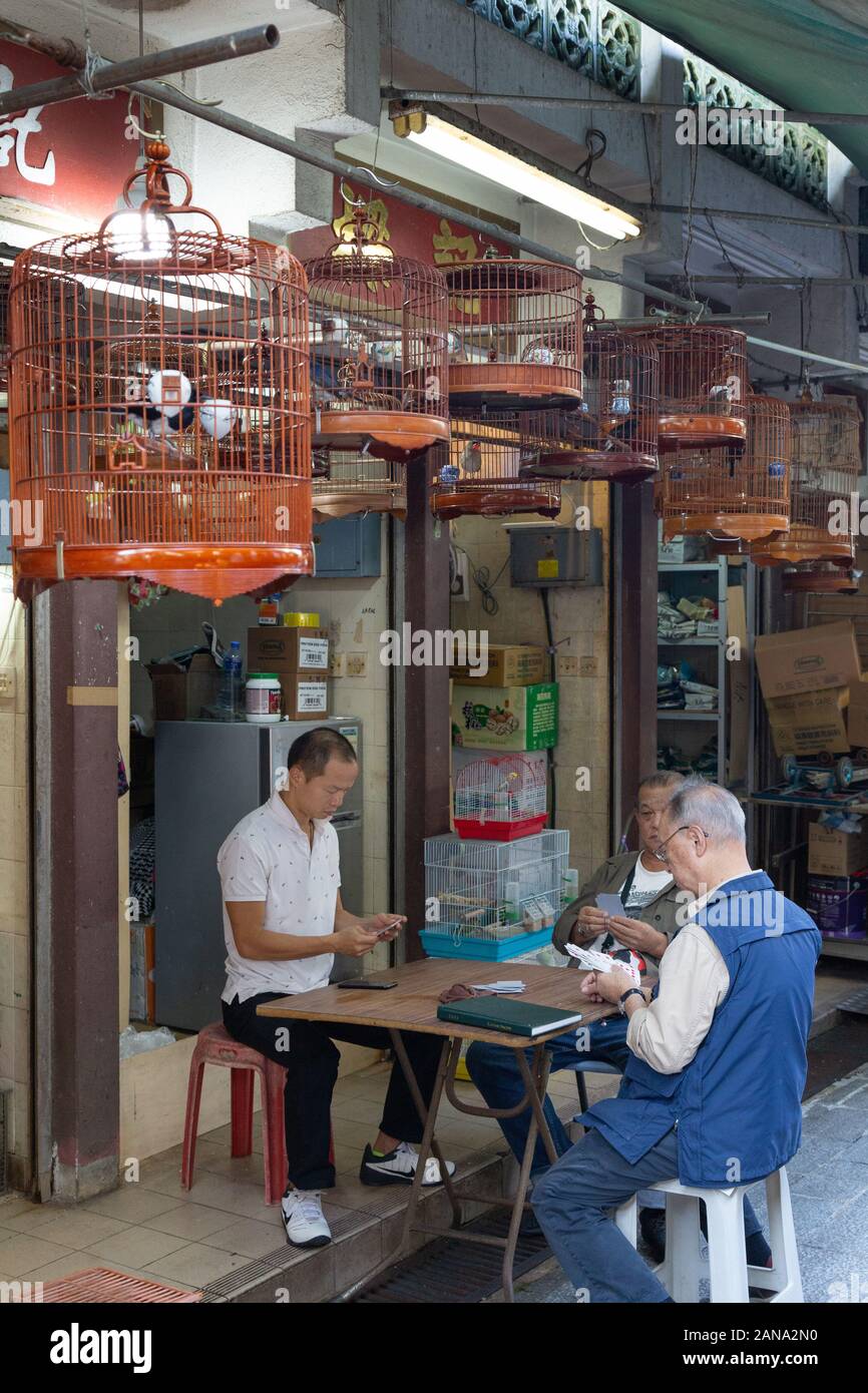 Hong Kong lifestyle; men playing cards in the bird market, Kowloon Hong Kong Asia Stock Photo