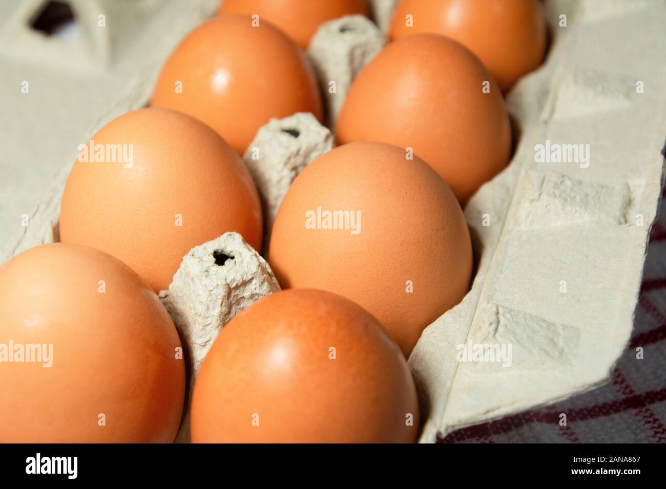 Close up of brown eggs in an egg carton. Stock Photo