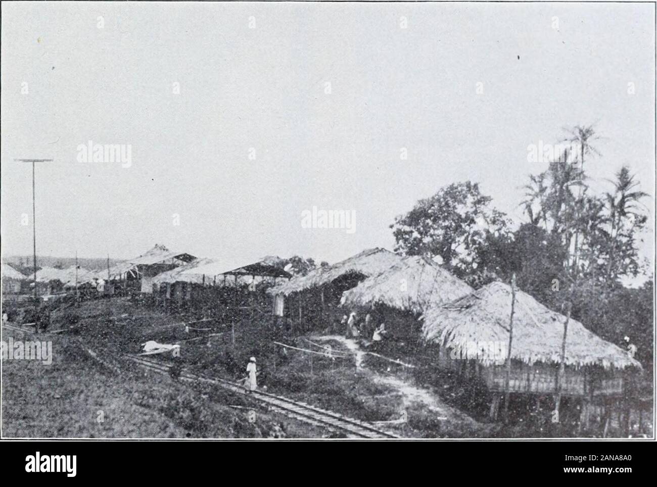 Report of first expedition to South America, 1913Members of the expedition: Richard PStrong [and others] . Fig. 1. — General Character of Dwellings in the Town.. Fig. 2. — General Character of Dwelling.s on Outskirts of Town. Plate I. — Buenaventura, Colombia. iQ ^^^m v  .  i.  Stock Photo