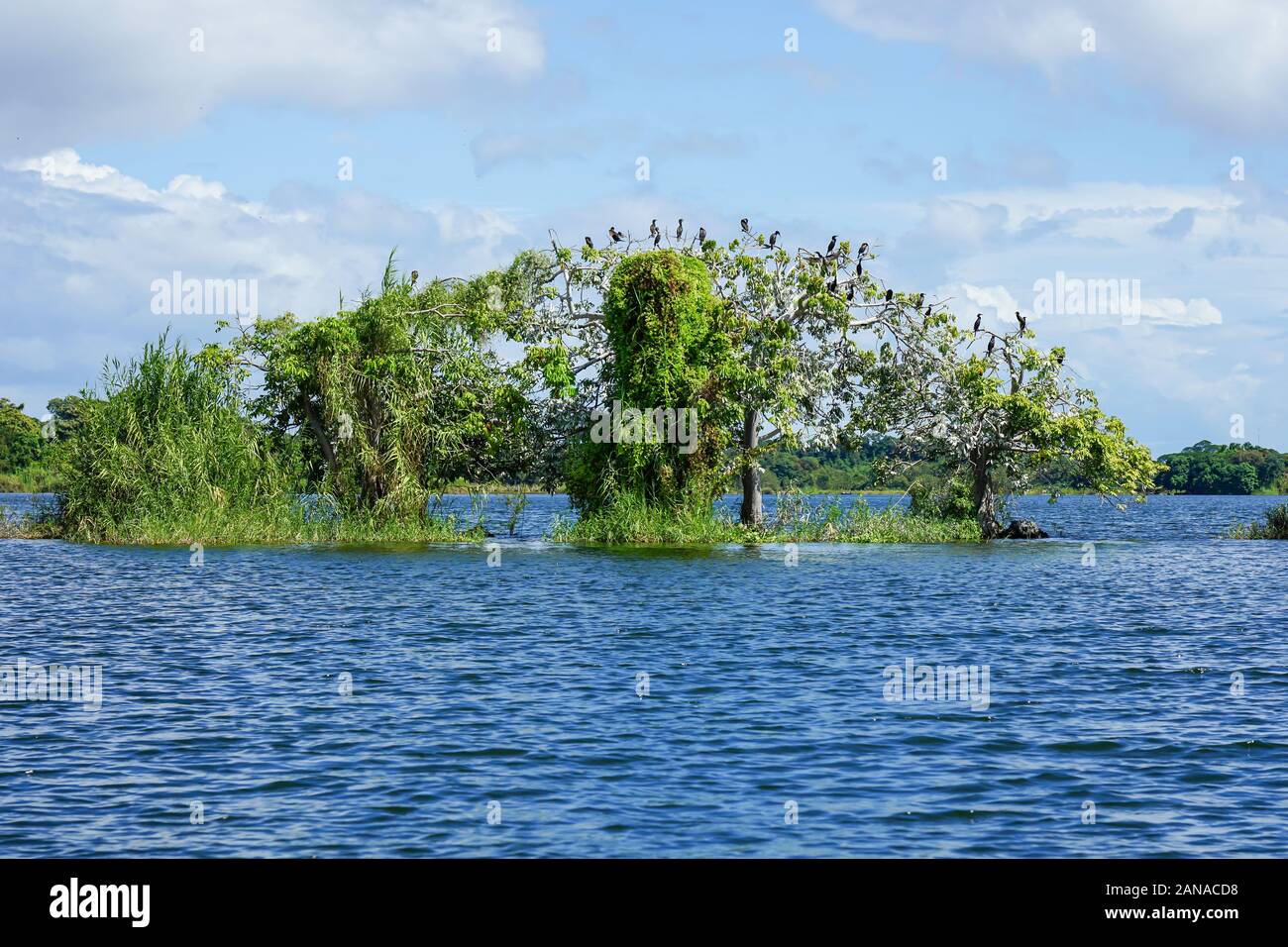 Lake Nicaragua, Nicaragua Stock Photo Alamy