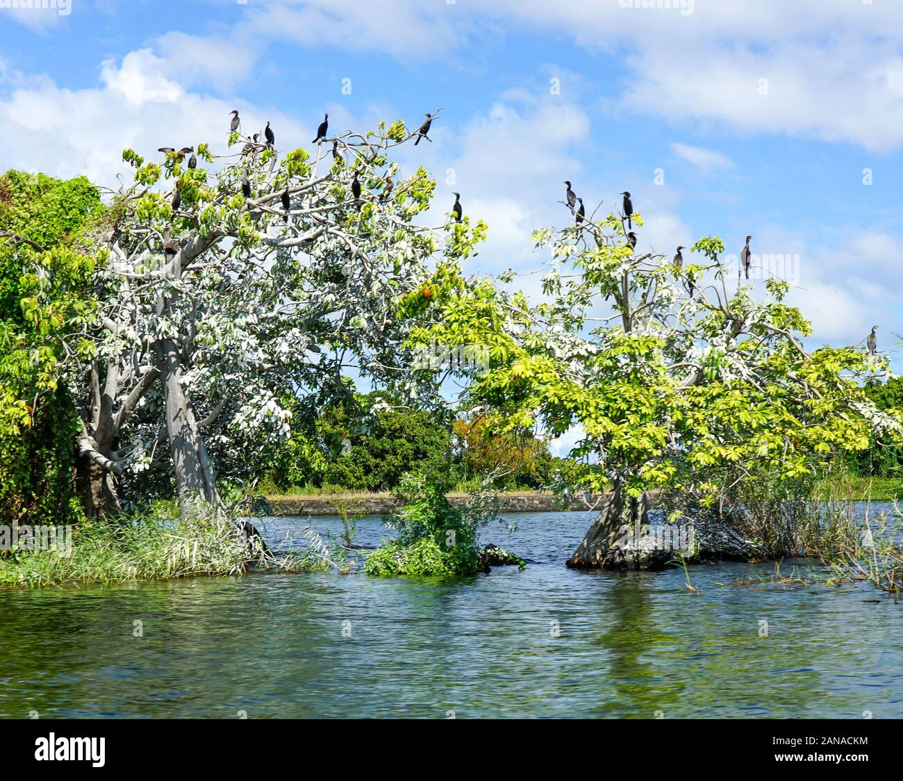 Lake Nicaragua, Nicaragua Stock Photo Alamy