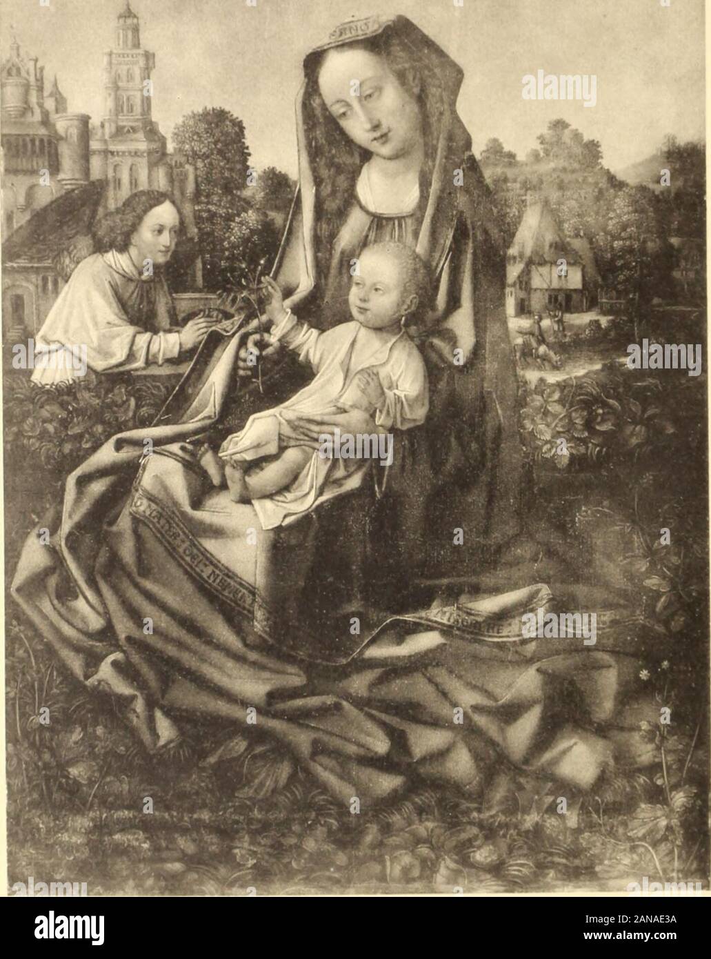 Esel bild hi-res stock photography and images - Alamy