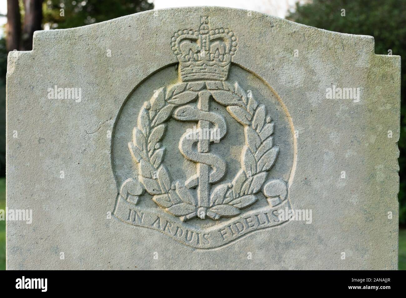 Royal Army Medical Corps regimental badge emblem crest on a military gravestone or headstone, UK Stock Photo