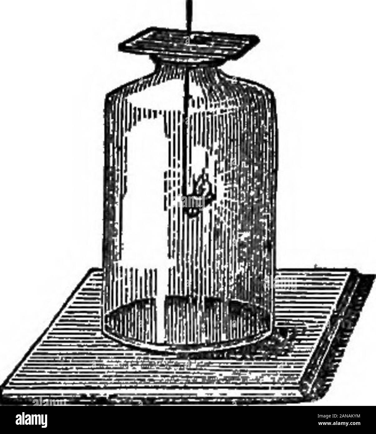 Essentials of medical and clinical chemistryWith laboratory exercises . All matter has weight. Bybalances in the open air weget the apparent weight of abody; but to obtain the ab-solute weight it must beweighed in a vacuum wherethere is no air to buoy it up. (For measures of weight, seetable at back of book.)But of most importance to the studentof chemistry is the specific weight or specific gravity, by whichwe mean the weight of a substance as compared with the weightof an equal volume of some other substance specified as astandard. It is not the weight of any particular body or piece ofa sub Stock Photo