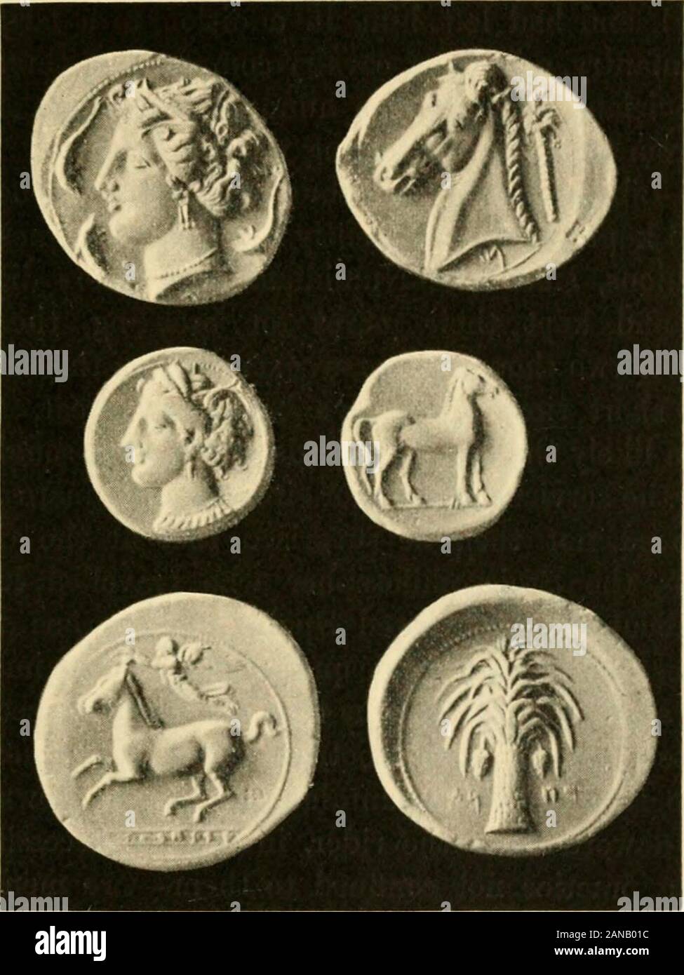 Numidian horse hires stock photography and images Alamy