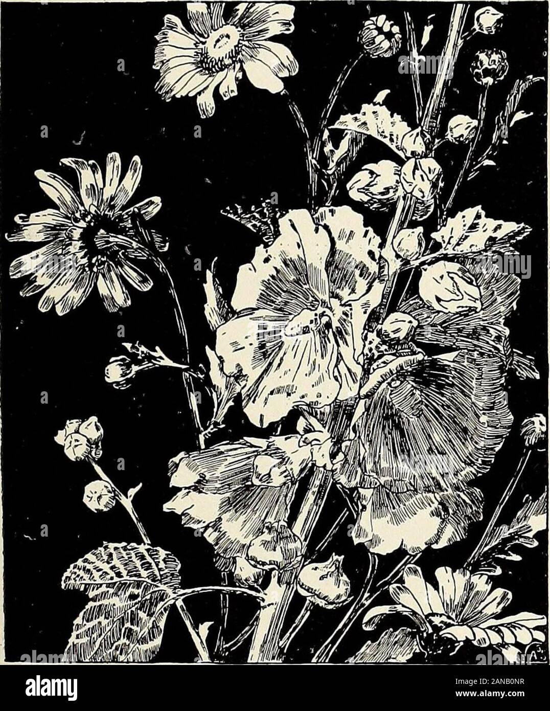 Kfa High Resolution Stock Photography And Images Alamy