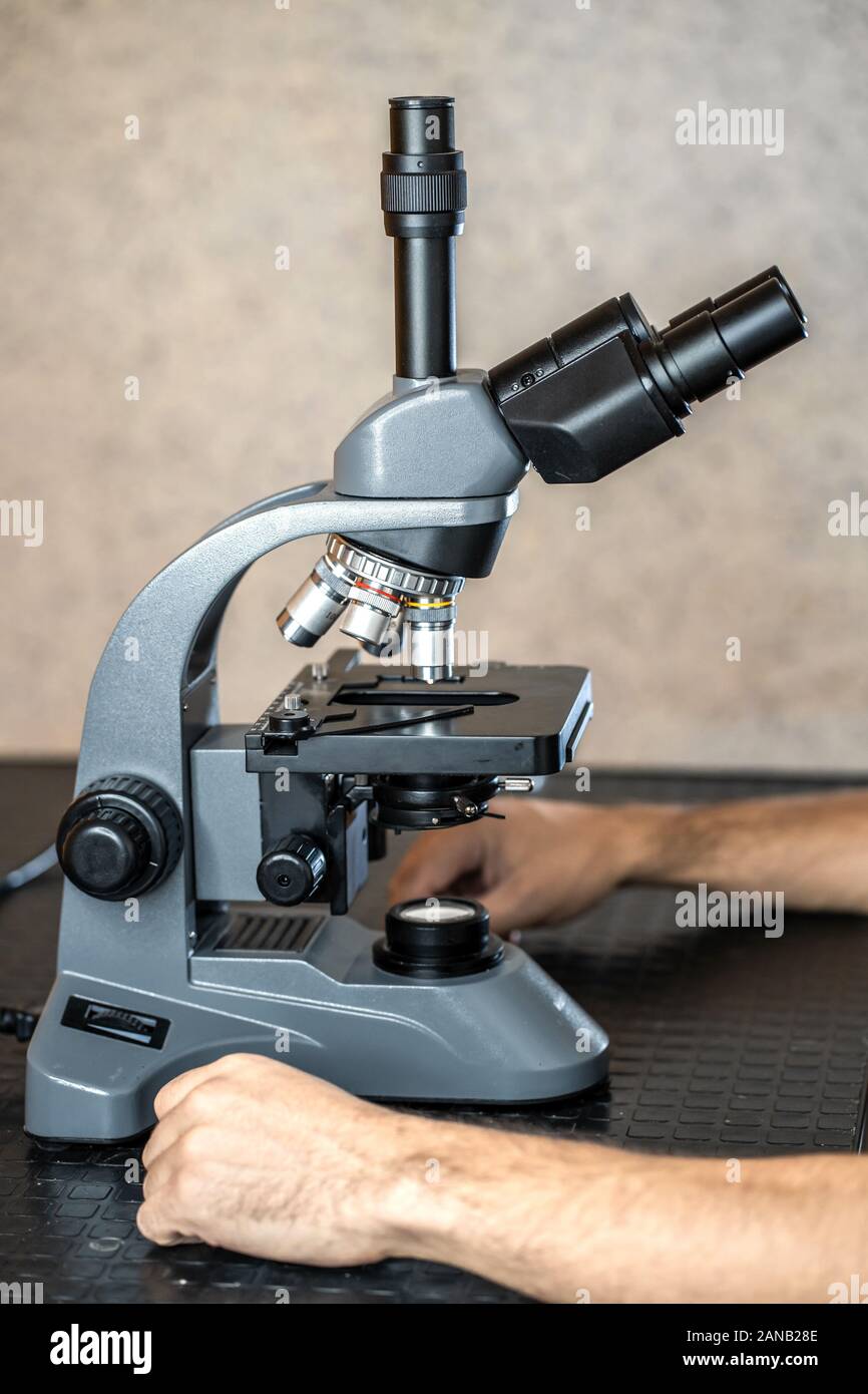 Examining Microscope Male laboratory assistant examining biomaterial samples in a microscope ...