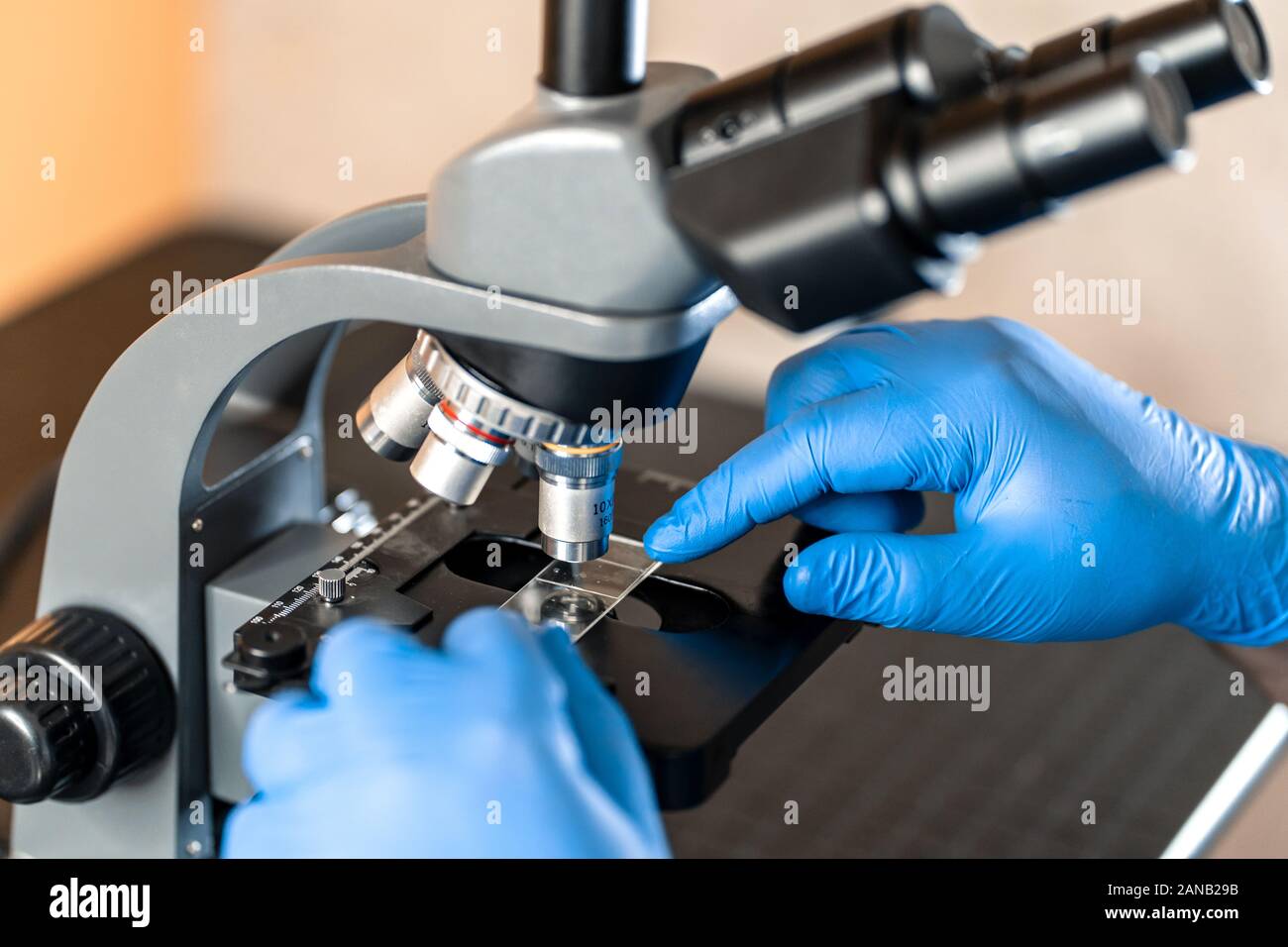 Examining Microscope Male laboratory assistant examining biomaterial samples in a microscope ...