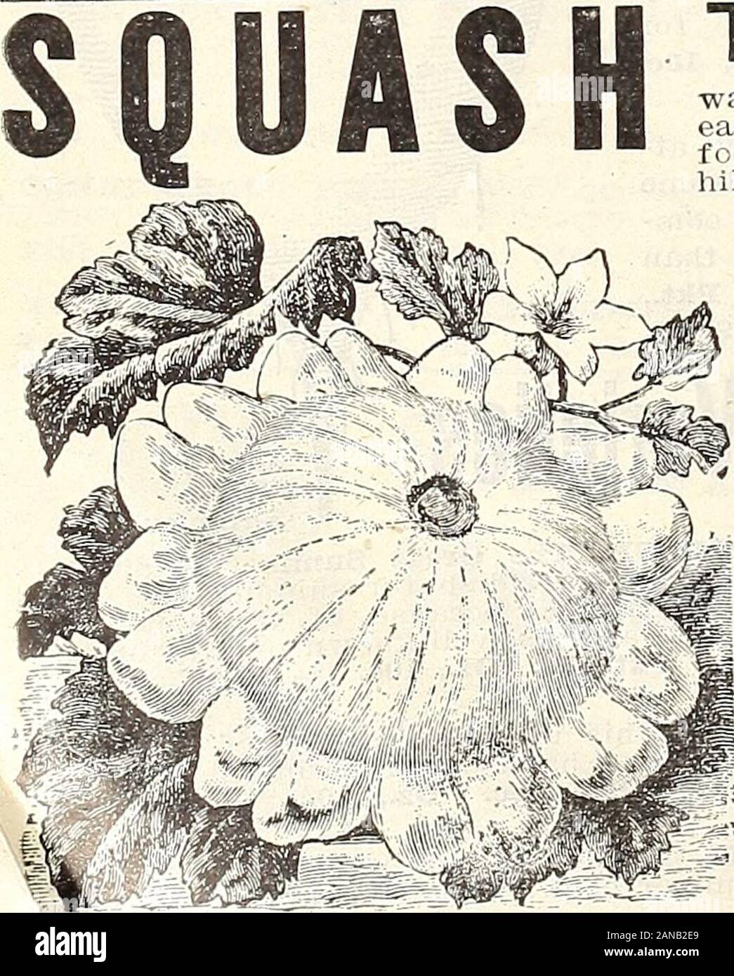 1913 Griffith And Turner Co Farm And Garden Supplies He