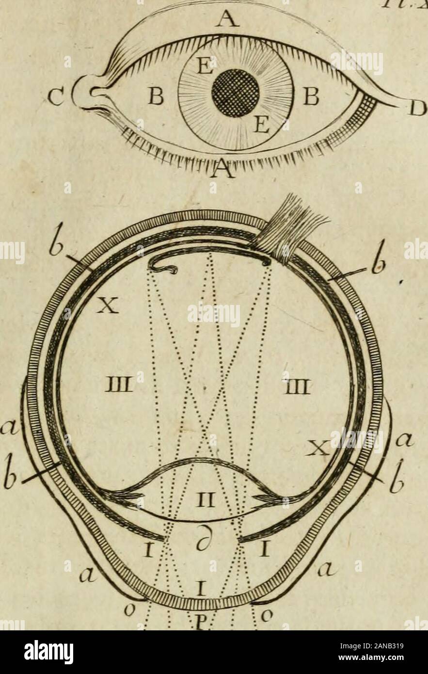 Notionaire; ou, Mémorial raisonné de ce qu'il y a d'utile et d'intéressant  dans les connoissances acquises depuis la création du monde jusqu'à  présentAvec figures en taille-douce . voit dans la Fi^. //.