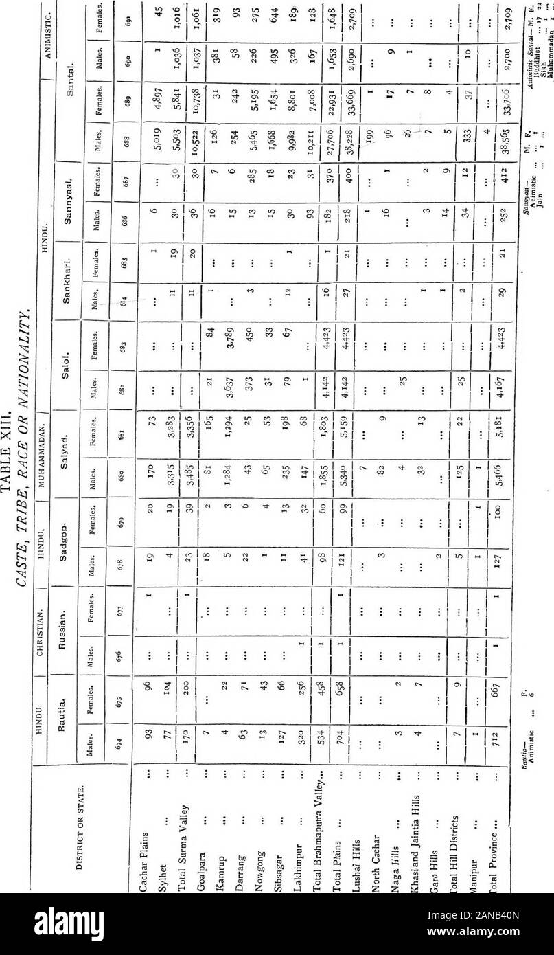 Census of India, 1901 . Stock Photo